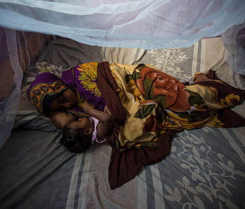 Malaria. Ogni 2 minuti, nel mondo, muore un bambino sotto i 5 anni. Il 20/8 il “Mosquito Day”