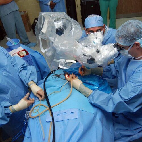 “Con staminali si curano molte patologie ortopediche”
